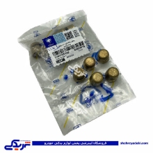 پیکان بوش راهنمای سیلندر ایساکو 0300700299