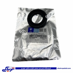 پژو کاسه نمد ژامبون (اکسل عقب) 206 ایساکو 0170400915