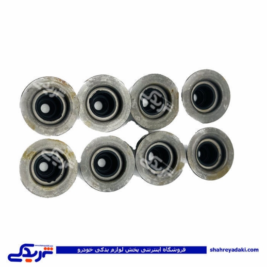 تیبا لاستیک سوپاپ سایپا یدک 100641PM9