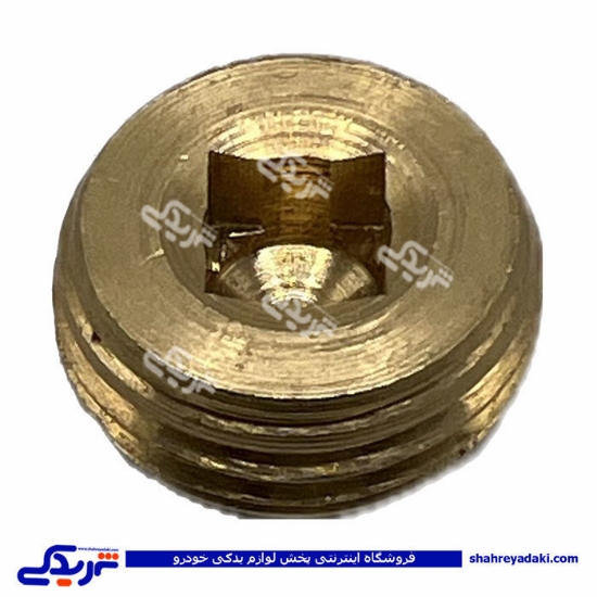 پژو کورکن کانال روغن اویل پمپ 405 و سمند 9000803366