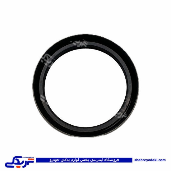 نیسان کاسه نمد چرخ جلو 9000980040 ( عمده )