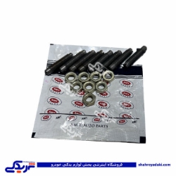 پیچ و مهره تنظیم سوپاپ ( انگشتی ) پیکان دلیتکس AMT 9000251012 ( عمده )