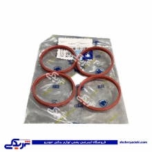 پژو واشر منیفولد هوا 206 تیپ 5 ایساکو 0172800699