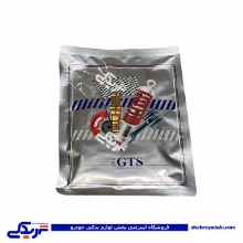 کاسه نمد سینی جلو (جلو میل لنگ) پیکان GTS 9000240118