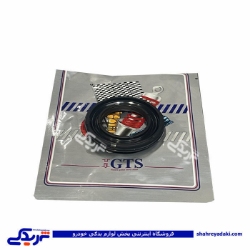 پژو کاسه نمد ژامبون ( اکسل عقب ) 206 GTS 9000240130