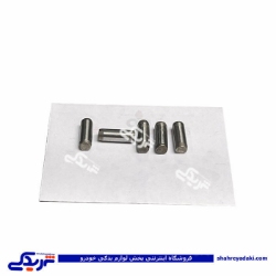پژو پین راهنما فلایویل 206،405،رانا و دنا ایساکو 0420703099