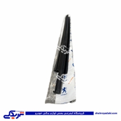 پژو ابگير بيرونی شيشه درب عقب چپ 405 9000126085