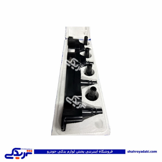 کوئل رانا دیناپارت 2602003