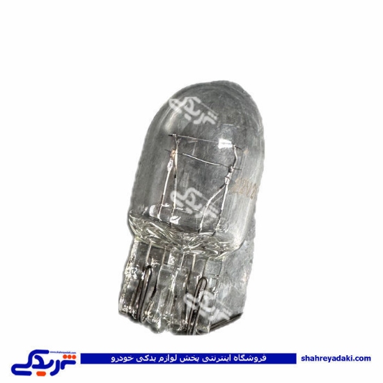 لامپ آریایی بزرگ 2 کنتاکت 9000601500