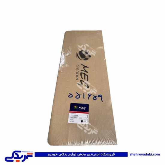پژو واشر سرسیلندر 405 3 سوراخ MEG 9000551659