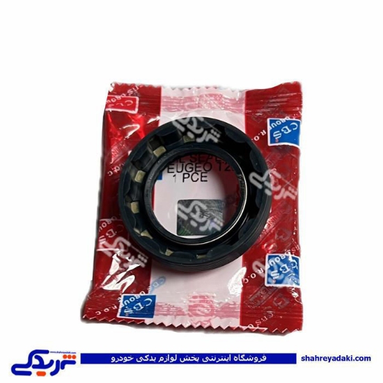 پژو کاسه نمد پلوس 206 کوچک CBS 922