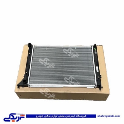 رادیات آب شاهین دو ردیفه سایپایدک  863585P10