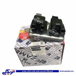 کوئل دوقلو زیمنس پراید،پیکان و پژو 405 عظام 3174051