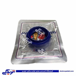 پژو کاسه نمد پلوس 206 بزرگ 9000240128  GTS
