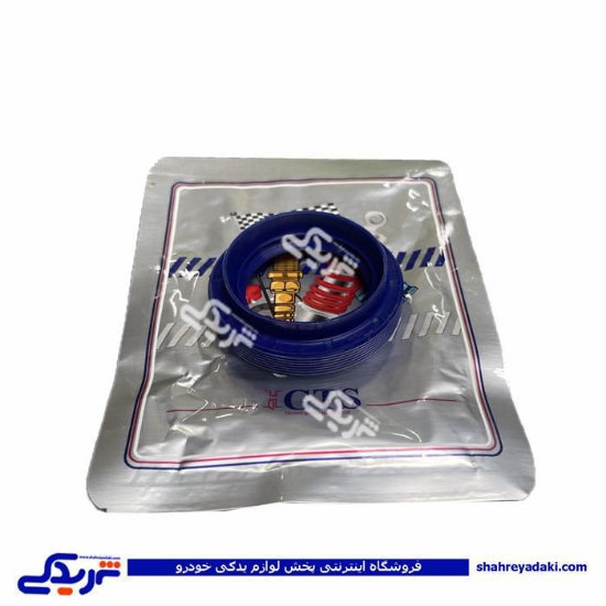 پژو کاسه نمد پلوس 206 بزرگ 9000240128  GTS
