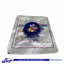 پژو کاسه نمد پلوس 206 کوچک 9000240129 GTS