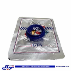 پژو کاسه نمد پلوس 206 کوچک 9000240129 GTS