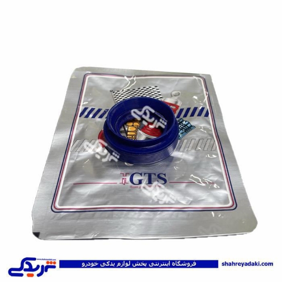پژو کاسه نمد پلوس 206 کوچک 9000240129 GTS