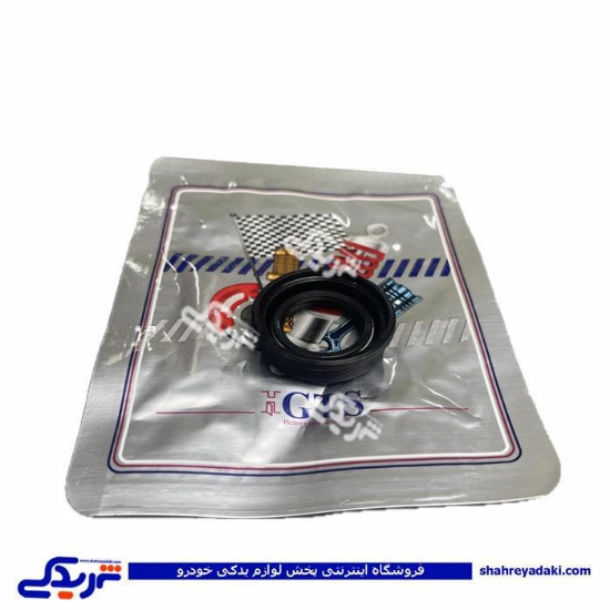 پژو کاسه نمد قیفی گیربکس 206 GTS 9000240131