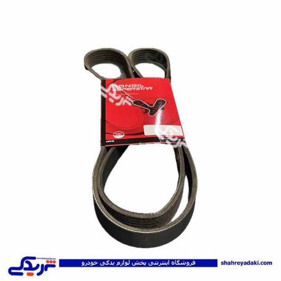 تسمه دینام 206 تیپ 2 1565 دانگیل 9000916029