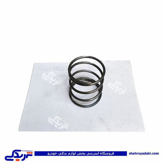 فنر انگشتی سوپاپ پراید (میل اسبک) 9000570766