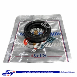 ريو کاسنمد پلوس GTS کد 11018