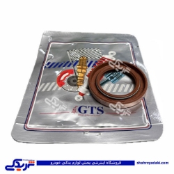 کاسه نمد میل سوپاپ ریو GTS کد 11019