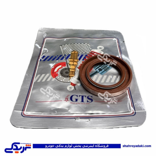 کاسه نمد میل سوپاپ ریو GTS کد 11019