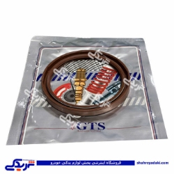 ریو کاسه نمد عقب میل لنگ GTS کد 11044