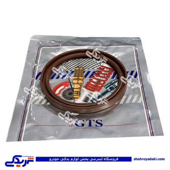 ریو کاسه نمد عقب میل لنگ GTS کد 11044