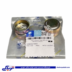 پولک بغل و عقب سیلندر پژو 405 ایساکو 0380601999
