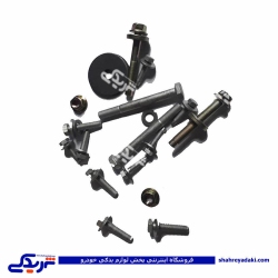 پیچ اکسل پژو 206 sd ست کامل با مهره تلدا 9000822070
